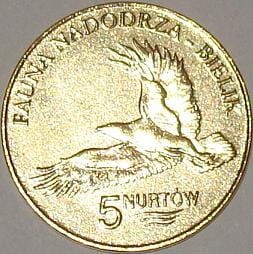 Kołbaskowo - 5 Nurtów / 2008 r. - Bielik