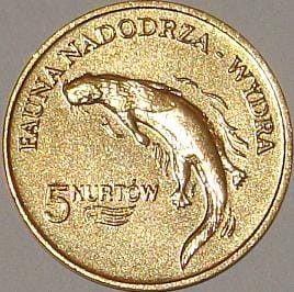 Kołbaskowo - 5 Nurtów / 2009 r. - Wydra