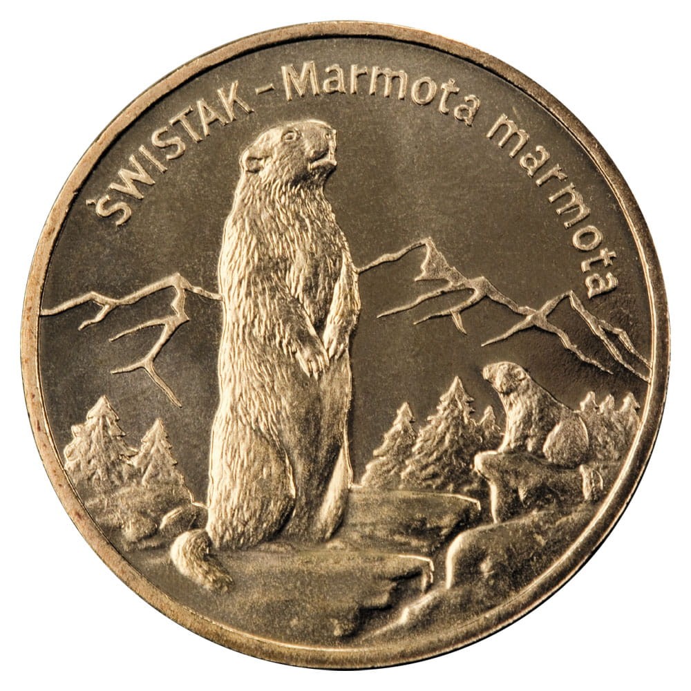 2 zł / 2006 r. - Świstak (łac. Marmota marmota)