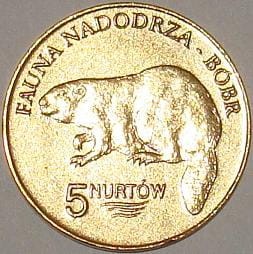 Kołbaskowo - 5 Nurtów / 2008 r. - Bóbr