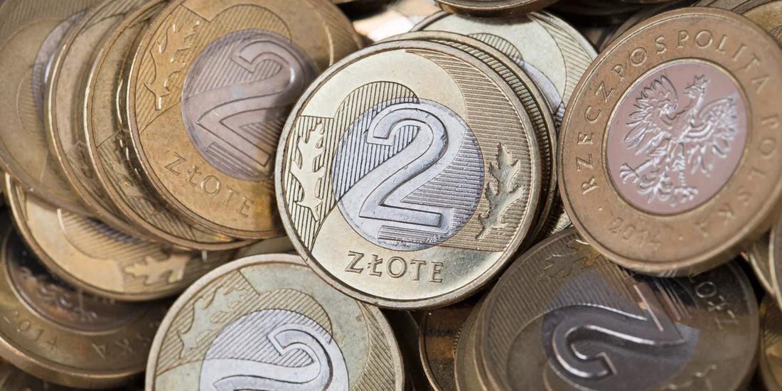 Cenne monety 2 złote z serii GN: Od czego zacząć kolekcjonowanie?