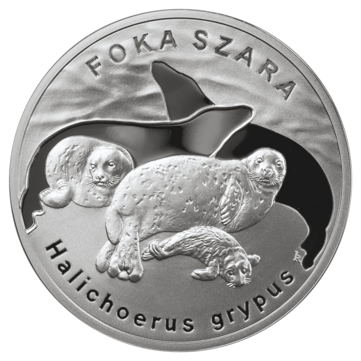 20 zł / 2007 r. - Foka szara