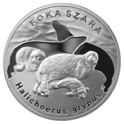 20 zł / 2007 r. - Foka szara