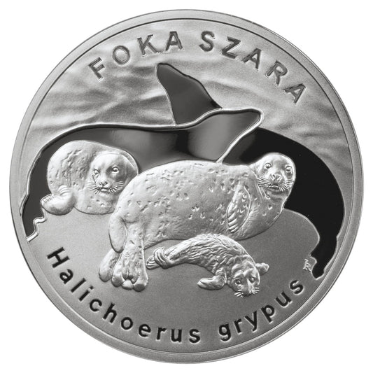 20 zł / 2007 r. - Foka szara