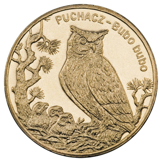 2 zł / 2005 r. - Puchacz (łac. Bubo bubo)