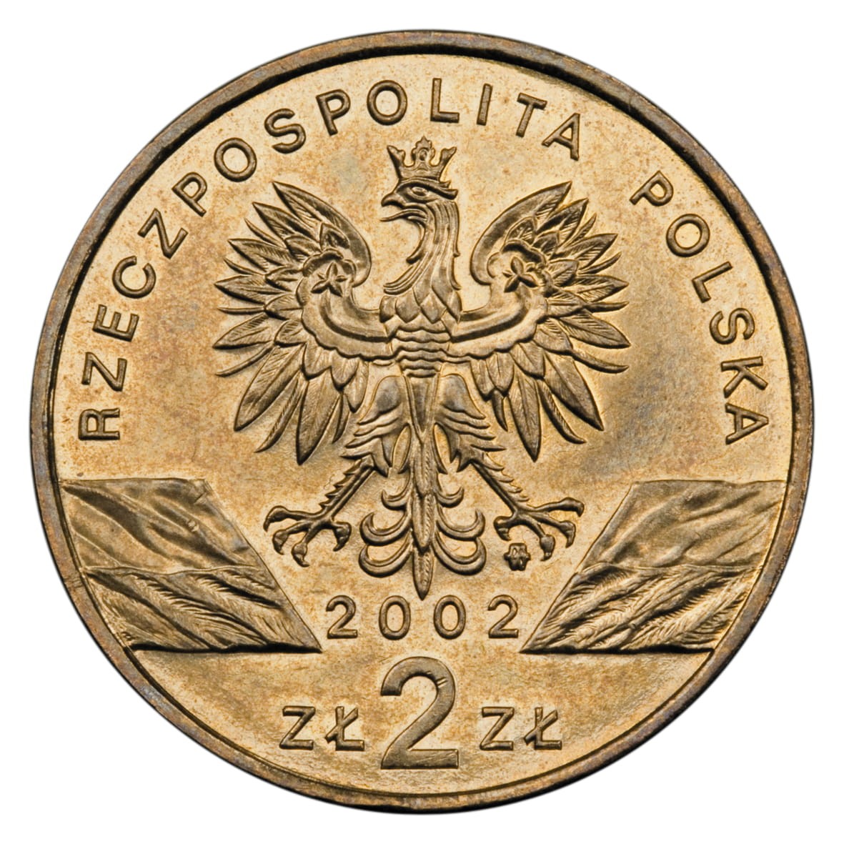 2 zł / 2002 r. - Żółw błotny