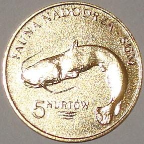 Kołbaskowo - 5 Nurtów / 2009 r. -  Sum