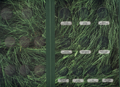 Album na monety 2 zł: Zwierzęta Świata