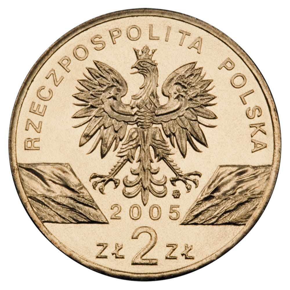 2 zł / 2005 r. - Puchacz (łac. Bubo bubo)