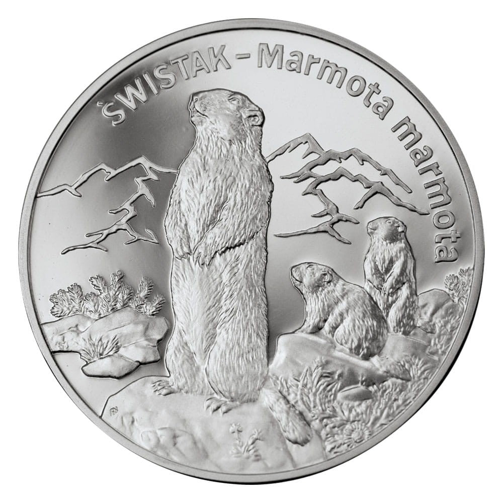 20 zł / 2006 r. -  Świstak (łac. Marmota marmota)