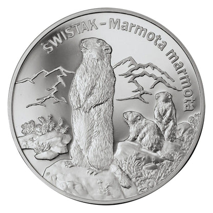 20 zł / 2006 r. -  Świstak (łac. Marmota marmota)