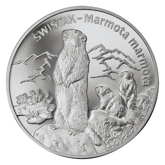 20 zł / 2006 r. -  Świstak (łac. Marmota marmota)
